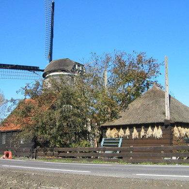 Rijksdienst voor het Cultureel Erfgoed: Terpstra, Frank