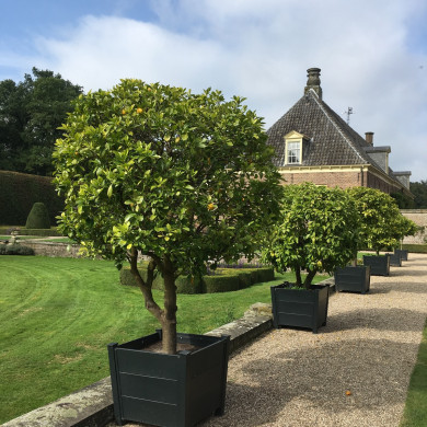 Rijksdienst voor het Cultureel Erfgoed: Wal, Henry van der