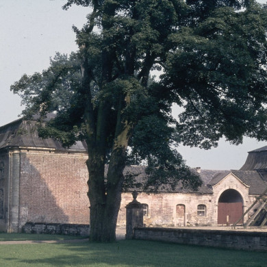 Rijksdienst voor het Cultureel Erfgoed: Delemarre, G.Th.