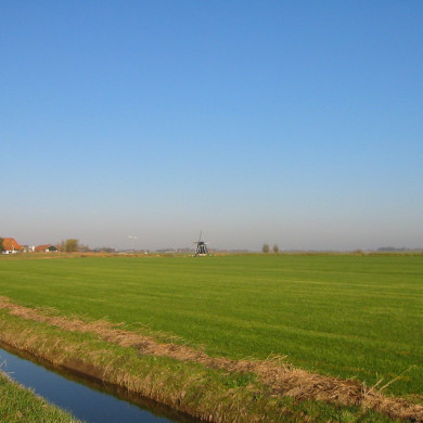 Rijksdienst voor het Cultureel Erfgoed: Terpstra, Frank