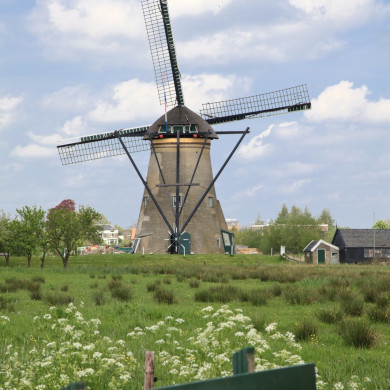 Rijksdienst voor het Cultureel Erfgoed: Jong, Nanette de