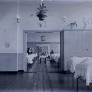 Rijksdienst voor het Cultureel Erfgoed: Brinio