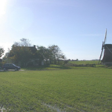 Rijksdienst voor het Cultureel Erfgoed: Terpstra, Frank