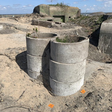 Rijksdienst voor het Cultureel Erfgoed: Bogers, Guido
