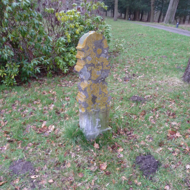 Rijksdienst voor het Cultureel Erfgoed: Bogers, Guido