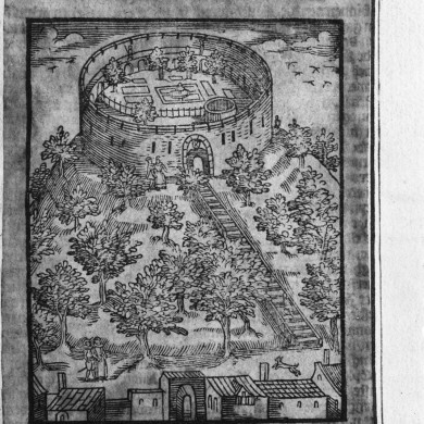 Rijksdienst voor het Cultureel Erfgoed: Delemarre, G.Th.