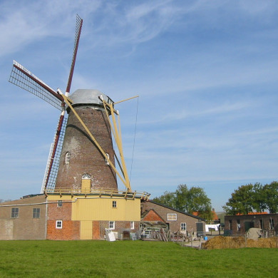 Rijksdienst voor het Cultureel Erfgoed: Terpstra, Frank