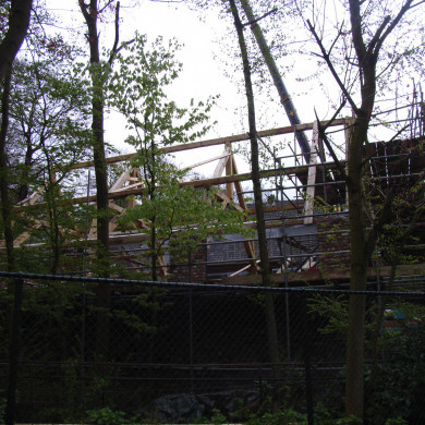 Rijksdienst voor het Cultureel Erfgoed: Hille, Janneke