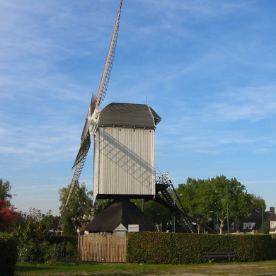 Rijksdienst voor het Cultureel Erfgoed: Terpstra, Frank