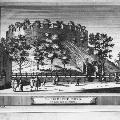 Rijksdienst voor het Cultureel Erfgoed: Delemarre, G.Th.