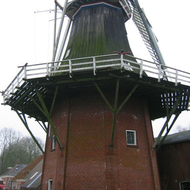 Rijksdienst voor het Cultureel Erfgoed: Terpstra, Frank