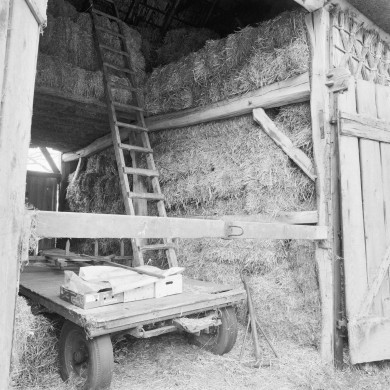 Rijksdienst voor het Cultureel Erfgoed: Wal, A.J. van der