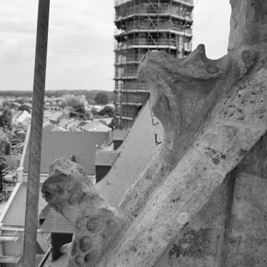 Rijksdienst voor het Cultureel Erfgoed: Tangel, L.M.