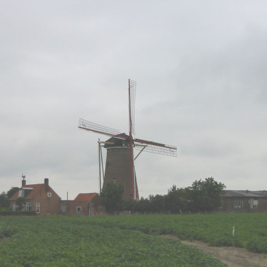 Rijksdienst voor het Cultureel Erfgoed: Terpstra, Frank