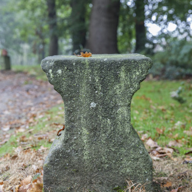 Rijksdienst voor het Cultureel Erfgoed: Sar, Wouter van der