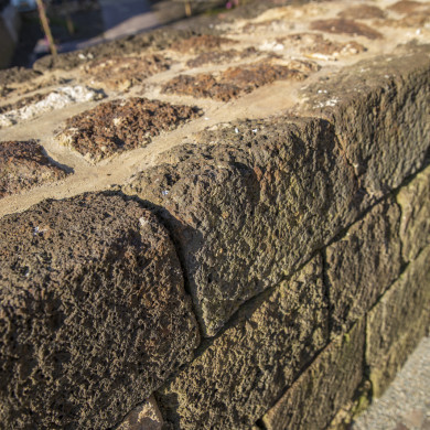 Rijksdienst voor het Cultureel Erfgoed: Sar, Wouter van der