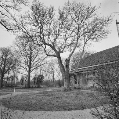 Rijksdienst voor het Cultureel Erfgoed: Wal, A.J. van der