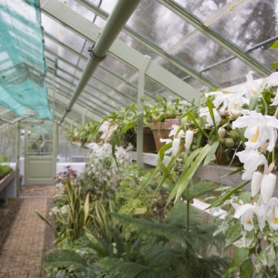 Rijksdienst voor het Cultureel Erfgoed: Roderburg, K. (Kris)