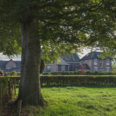 Rijksdienst voor het Cultureel Erfgoed: Jong, Nanette de
