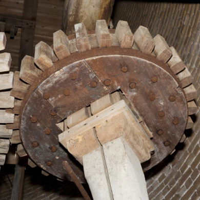 Rijksdienst voor het Cultureel Erfgoed: Booms, C.S. (Chris)