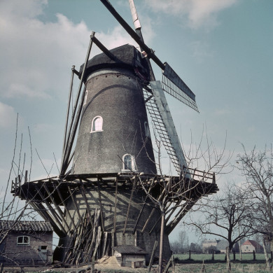 Rijksdienst voor het Cultureel Erfgoed