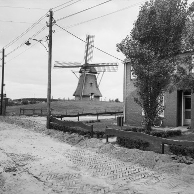 Rijksdienst voor het Cultureel Erfgoed: Tangel, L.M.