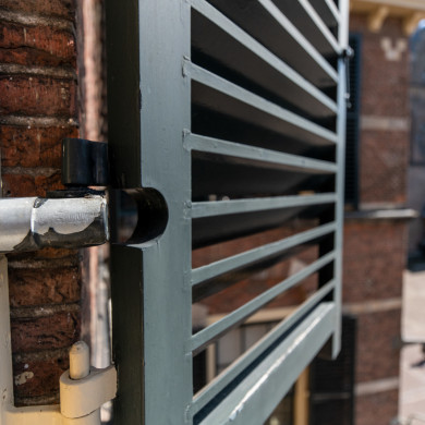 Rijksdienst voor het Cultureel Erfgoed: Mees, Michel