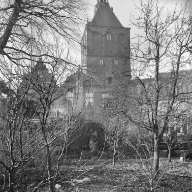 Rijksdienst voor het Cultureel Erfgoed