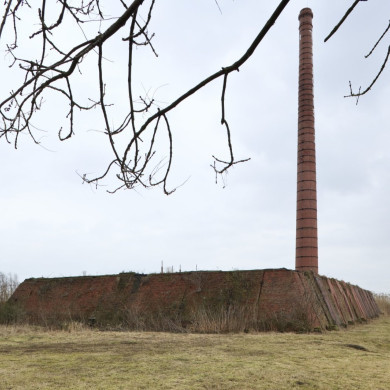 Rijksdienst voor het Cultureel Erfgoed: Booms, C.S. (Chris)