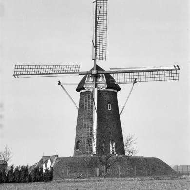 Rijksdienst voor het Cultureel Erfgoed: Tangel, L.M.