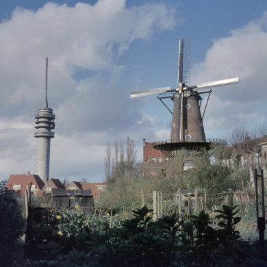 Rijksdienst voor het Cultureel Erfgoed