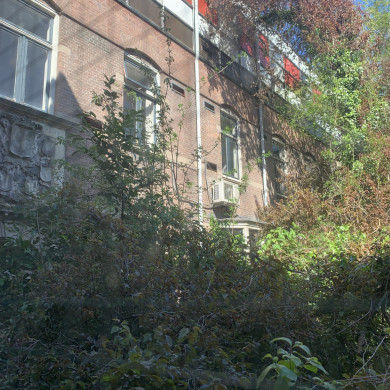 Rijksdienst voor het Cultureel Erfgoed: Bogers, Guido