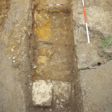 Rijksdienst voor het Cultureel Erfgoed