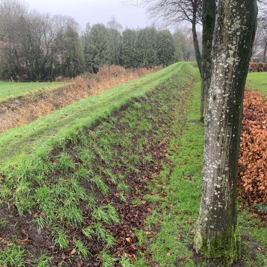 Rijksdienst voor het Cultureel Erfgoed: Bogers, Guido