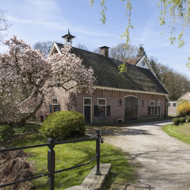 Rijksdienst voor het Cultureel Erfgoed: Sar, Wouter van der