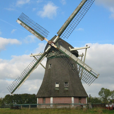 Rijksdienst voor het Cultureel Erfgoed: Terpstra, Frank