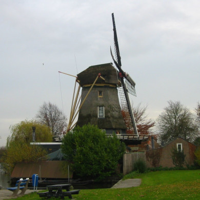 Rijksdienst voor het Cultureel Erfgoed: Terpstra, Frank