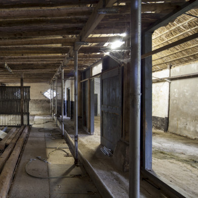 Rijksdienst voor het Cultureel Erfgoed: Sar, Wouter van der