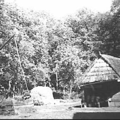 Rijksdienst voor het Cultureel Erfgoed: Jong, L. de