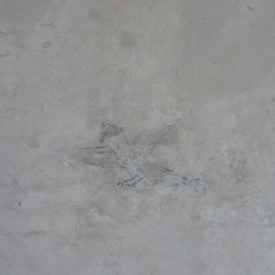 Rijksdienst voor het Cultureel Erfgoed: Wal, Henry van der