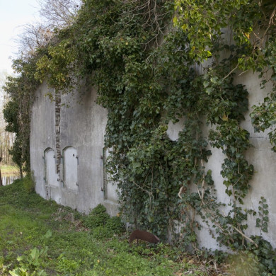 Rijksdienst voor het Cultureel Erfgoed: Booms, C.S. (Chris)-Galen, P. (Paul) van