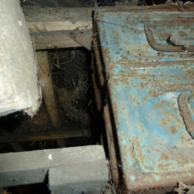 Rijksdienst voor het Cultureel Erfgoed: Bogers, Guido