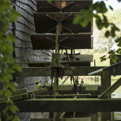 Rijksdienst voor het Cultureel Erfgoed: Buthker, Luc