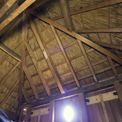 Rijksdienst voor het Cultureel Erfgoed: Galen, Jan van