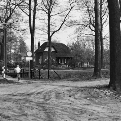 Rijksdienst voor het Cultureel Erfgoed: Tangel, L.M.