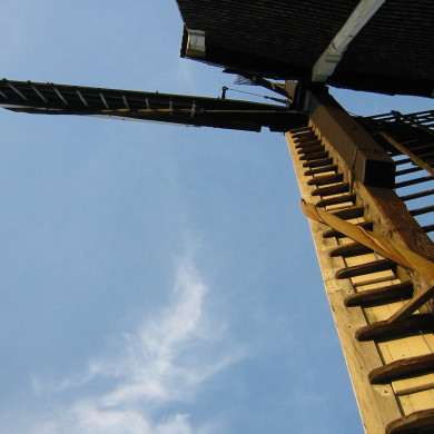 Rijksdienst voor het Cultureel Erfgoed: Terpstra, Frank