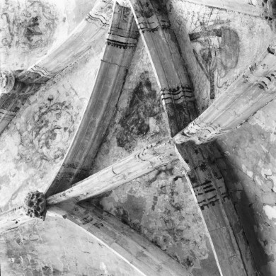 Rijksdienst voor het Cultureel Erfgoed: Delemarre, G.Th.