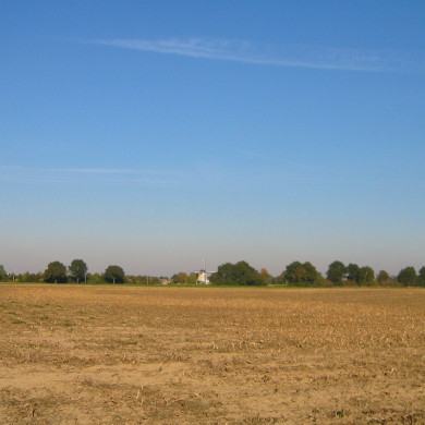 Rijksdienst voor het Cultureel Erfgoed: Terpstra, Frank