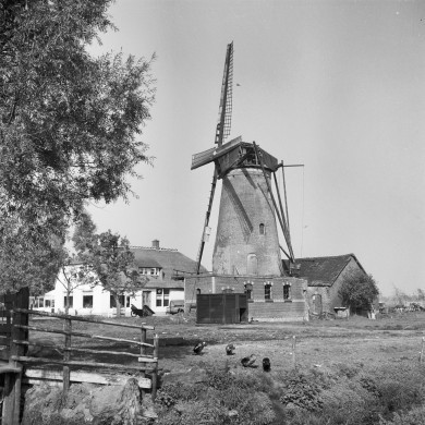 Rijksdienst voor het Cultureel Erfgoed: Korpershoek, W.A.