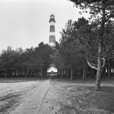 Rijksdienst voor het Cultureel Erfgoed: Wal, A.J. van der